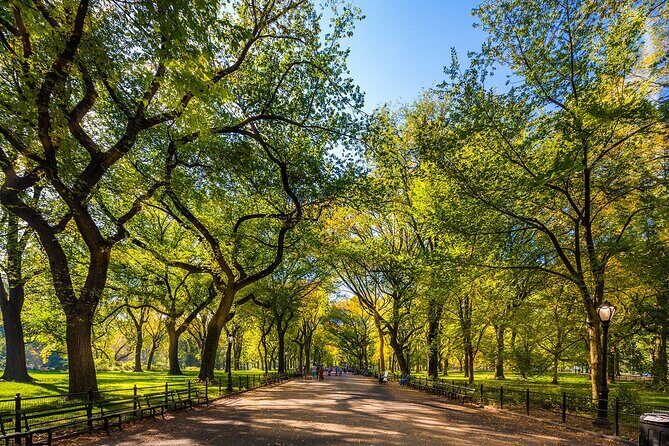 New York City with Metropolitan Museum Half Day Walking Tour - Who Will Love This Tour?
