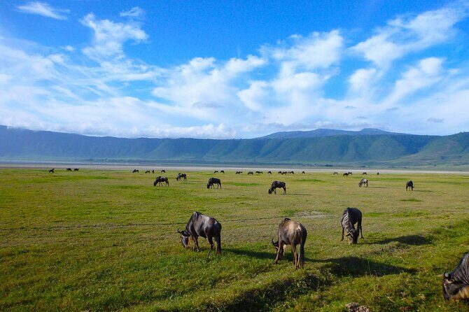 Ngorongoro Crater Day Trip - The Experience of Kwezi Safaris Ltd