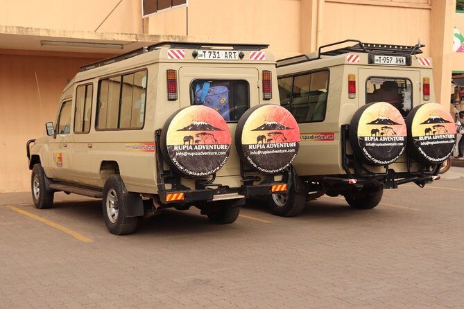 Ngorongoro Crater Day Trip - The Value of the Ngorongoro Crater Day Trip