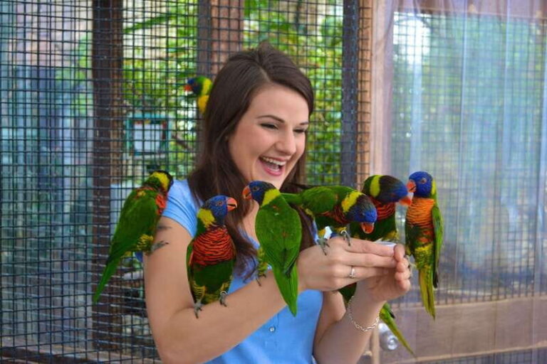 Niagara Falls, Canada: Bird Kingdom Entry Ticket - What Is Bird Kingdom?