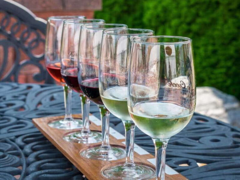 Niagara Falls: Public Niagara Wine Tour with Transportation - Overview of the Tour Experience