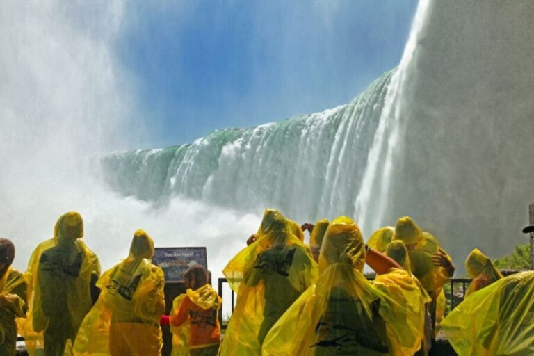 Niagara Falls USA: Day/Night Tour with Light Show & Boat - Who Would Love This Tour?