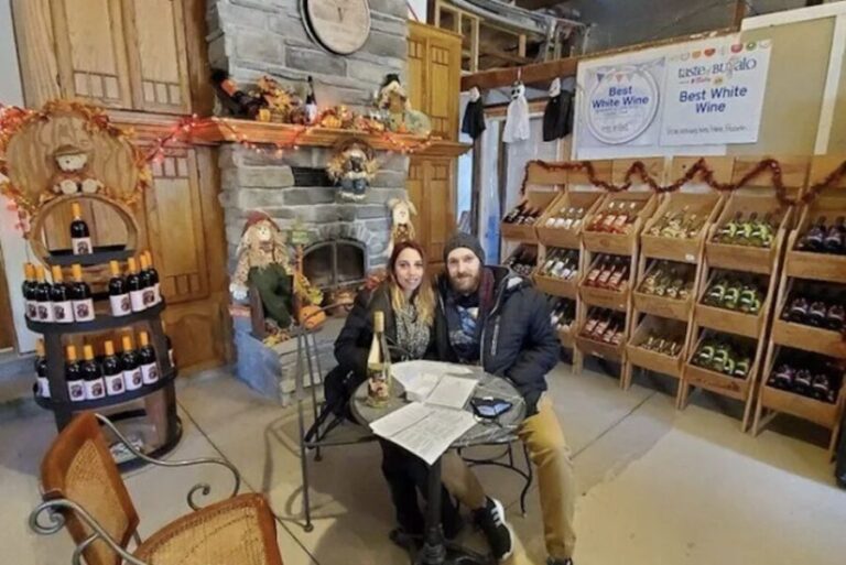Niagara Falls: USA Small-Group Boutique Wine Tour - Who Will Love This Tour?