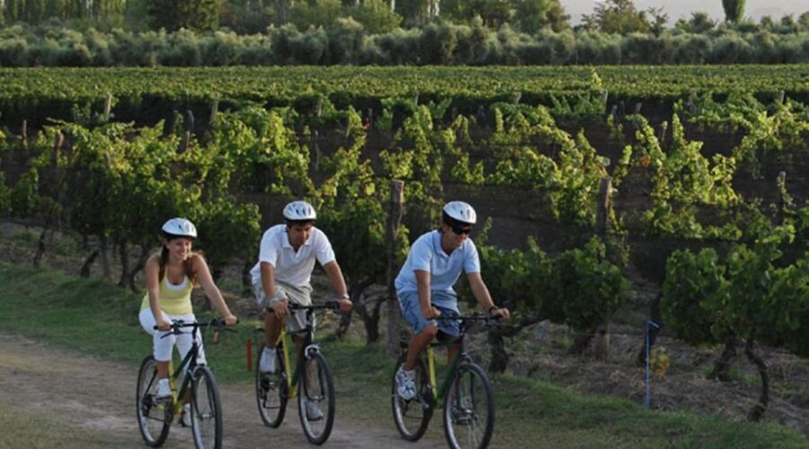Niagara-on-the-Lake: Bicycle Tour with Wine Tasting