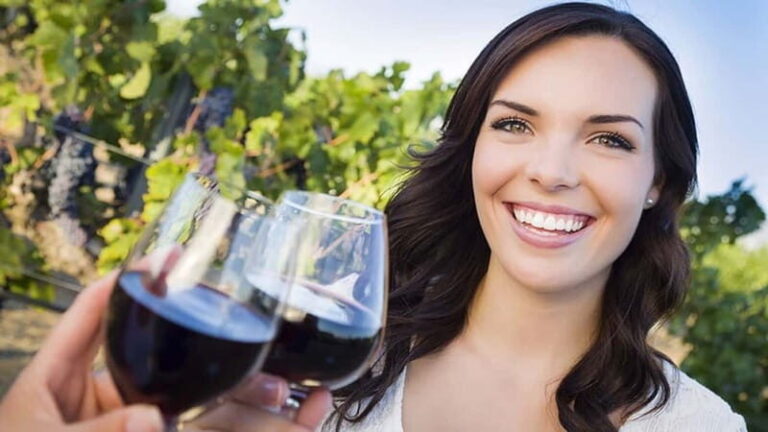Niagara-on-the-Lake: Sunset Wine Tour with Dinner - Why the Sunset Timing Matters