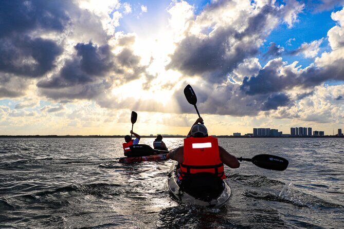 Nichupte Lagoon! Mangrove Kayaking Experience from Cancun - The Experience of Kayaking in the Mangroves