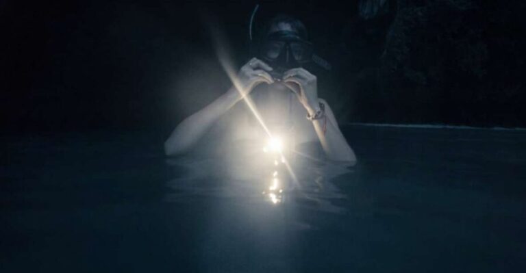 Night Time Snorkel At Turtle Town With Lights And Stars - Why This Tour Stands Out