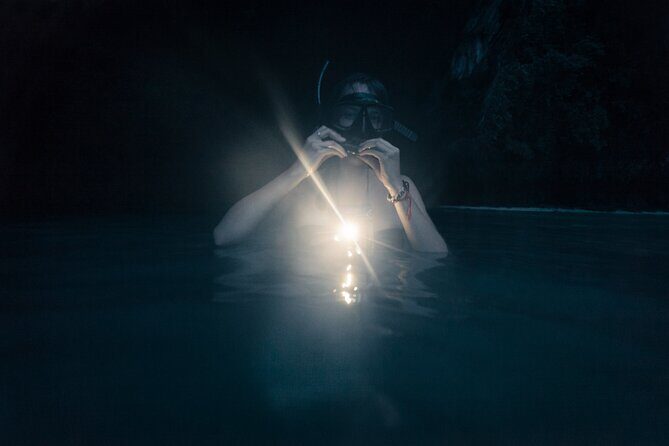 Night-Time Snorkel at TurtleTown with Stars, Lights, and Photos - Why This Tour Stands Out