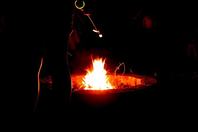 Night Zipline Adventure: 3 Lines - The Sum Up: Is It Worth It?
