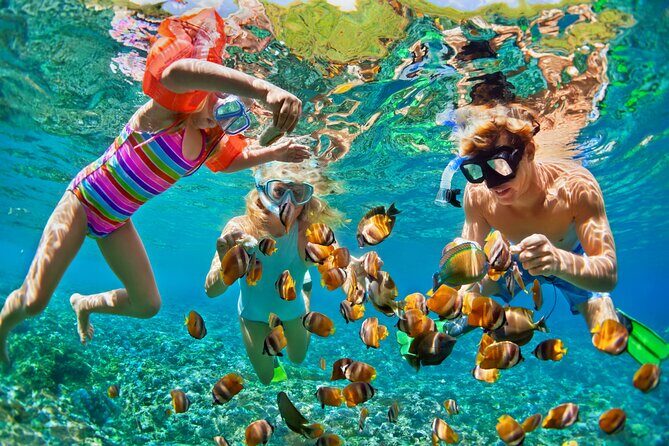 Nizuc Reef Snorkel Experience - Starting Point and Transportation