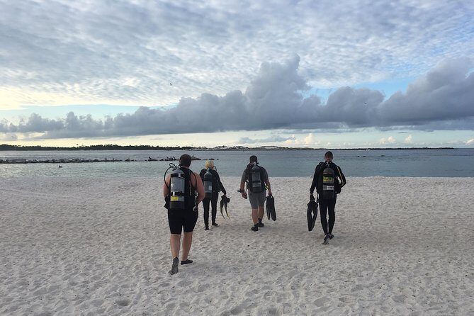 No Experience Required to Discover Scuba in Florida - What Makes This Tour Stand Out
