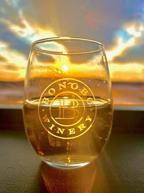 NON BUS 3 Winery Old Mission Peninsula Sunset Wine Tour - The Itinerary and Wineries