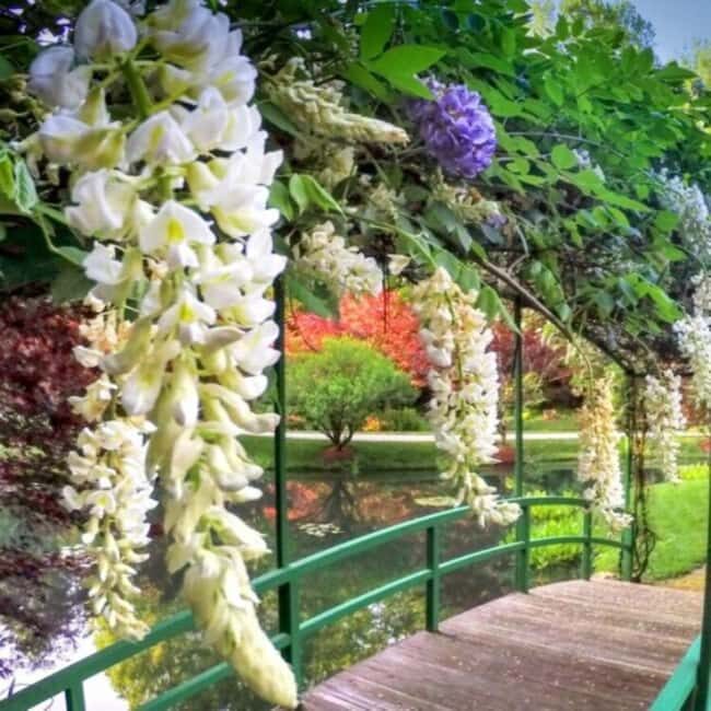 North Atlanta: Gibbs Gardens Self-Guided Slingshot Tour - Practical Details