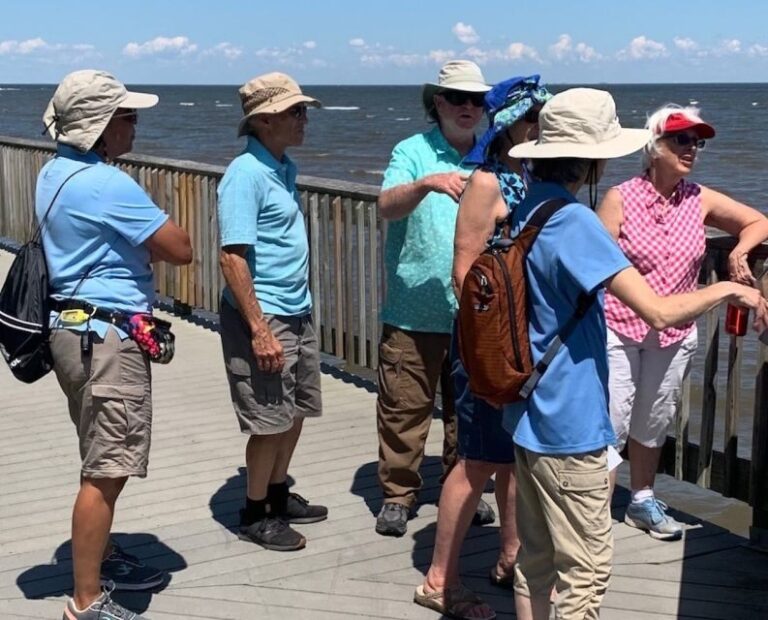 North Beach: North Beach Historic Guided Walking Tour - Who Would Love This Tour?