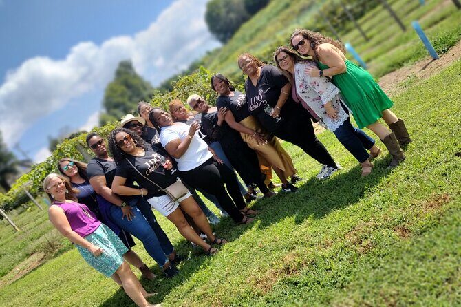 North Georgia Mountains Three Vineyard Wine Tasting Tour - Exploring the Itinerary and Experience