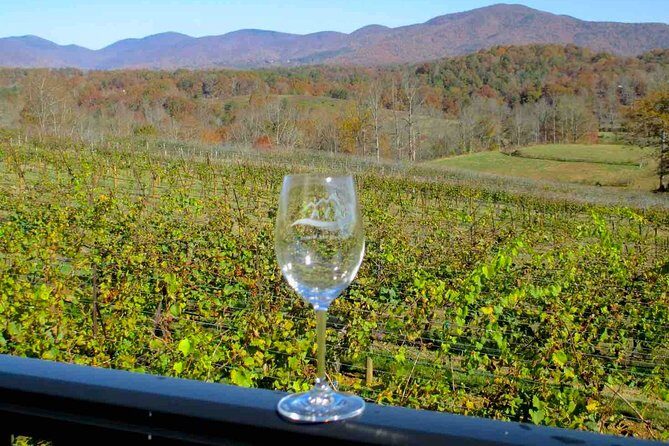 North Georgia Wine Country Tour from Atlanta - Who Will Love This Tour?