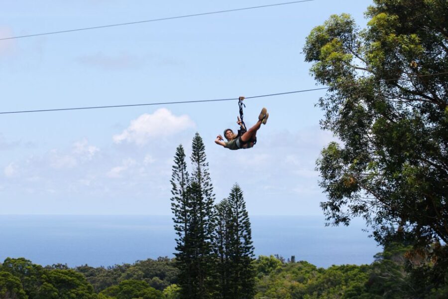 North Maui: 7 Line Zipline Adventure with Ocean Views - Who Would Love This Tour?