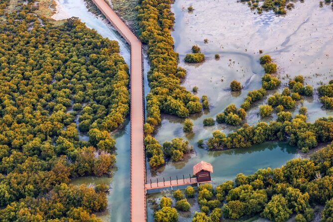North of Qatar Tour, Zubara Fort, Mangroves, Jumail Village - The Experience: What You Can Expect
