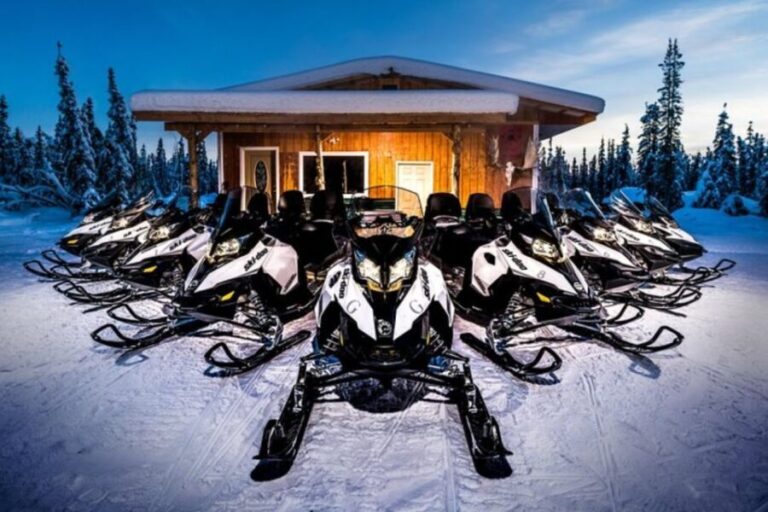North Pole Alaska: Guided Fairbanks Snowmobile Tour - Who Will Love This Tour?