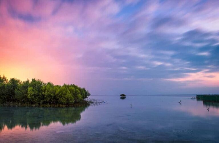 North Qatar: Zubara Fort, Jumail Village, Thakhira Mangroves - Exploring North Qatar: Itinerary Breakdown