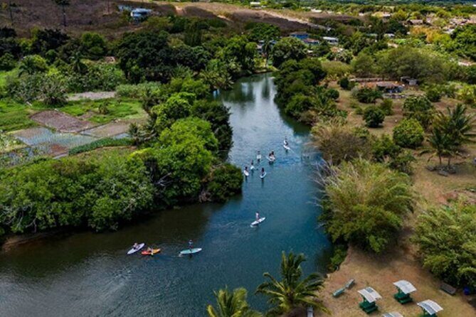 North Shore Farm: Anahulu River, Kayak-Sup, Turtles, Lunch & More - Authenticity & Real Traveler Experiences