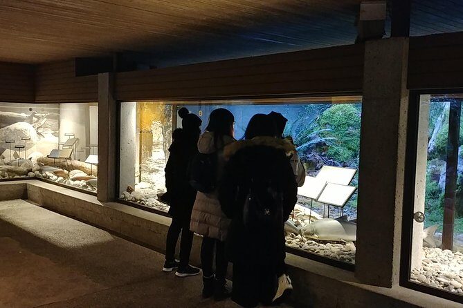 North Vancouver Discovery Private Tour - What’s Included and What’s Not