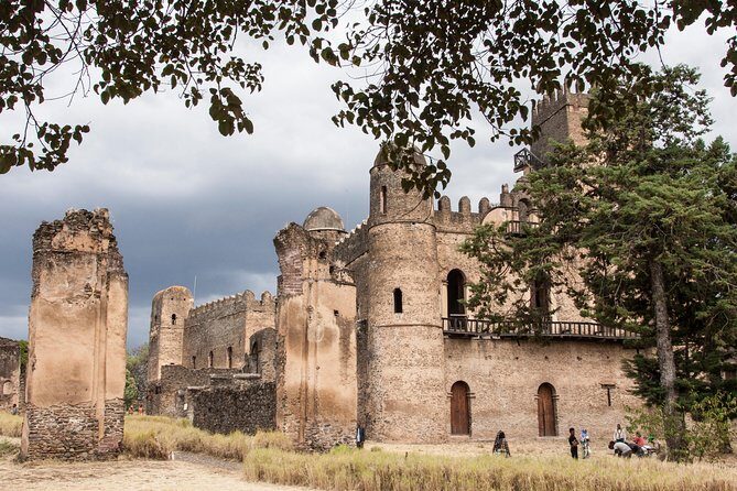 Northern Ethiopia Historic Route - Day 1: Exploring Addis Ababa