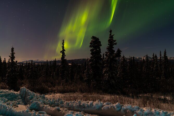 Northern Lights Adventure of a Liftetime from Anchorage - The Sum Up: Is This Tour Worth It?