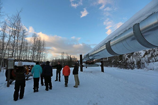 Northern Lights and Arctic Circle Trip from Fairbanks - Food & Refreshments: A Tasty Bonus