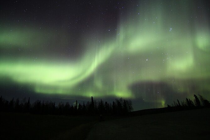 Northern Lights Murphy Dome Viewing in Fairbanks - Transportation and Group Size