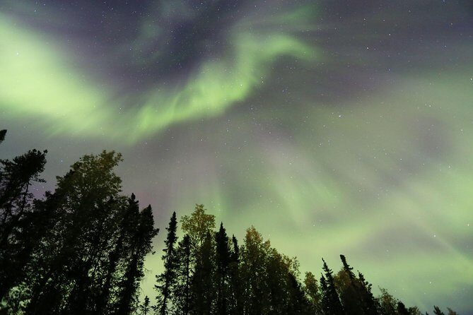 Northern Lights Viewing including Dinner and 1-Hour Dog Sledding - Who Should Consider This Tour?