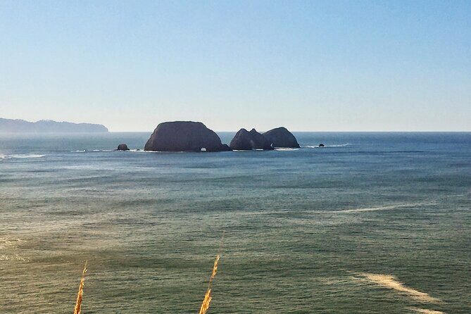 Northern Oregon Coast Day Trip to Three Capes Scenic Loop - Final Thoughts: Who Is This Tour Best For?