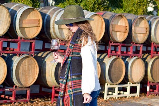 NOVA Private Custom Wine Tours & Tasting from DMV - Final Words: Who Should Consider This Tour?