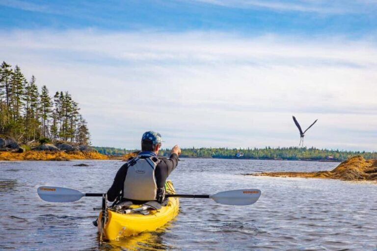 Nova Scotia: Guided Half-Day LaHave Islands Sea Kayak Tour - The Practical Side: What to Know Before Booking