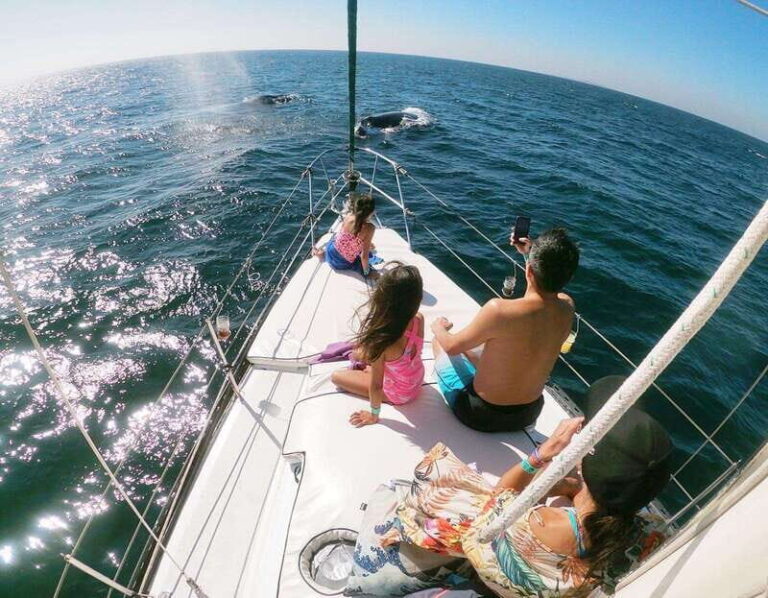 Nuevo Vallarta: Whale Watching by Sailboat Tour - Who Will Love This Tour?