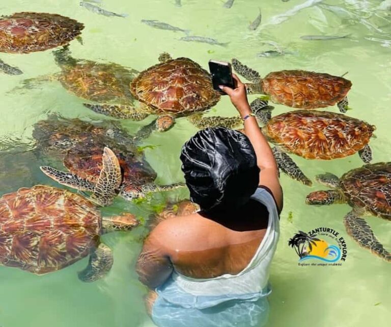Nungwi: Swimming with Turtles at The Lagoons Zanzibar - Why This Tour Stands Out