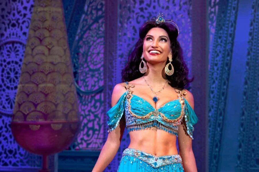 NYC: Aladdin the Musical on Broadway - Who Should Consider This Experience?