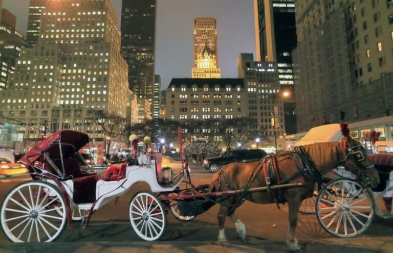 NYC : Central Park by Night: Horse-Drawn Carriage Ride - Why We Think This Tour Is Worth Considering