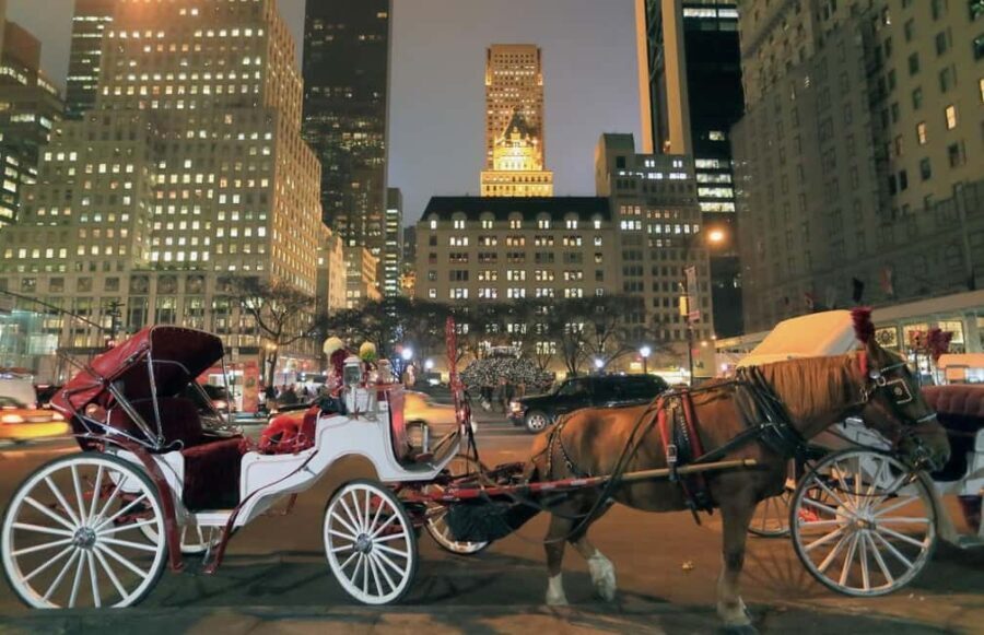 NYC : Central Park by Night: Horse-Drawn Carriage Ride - Why We Think This Tour Is Worth Considering