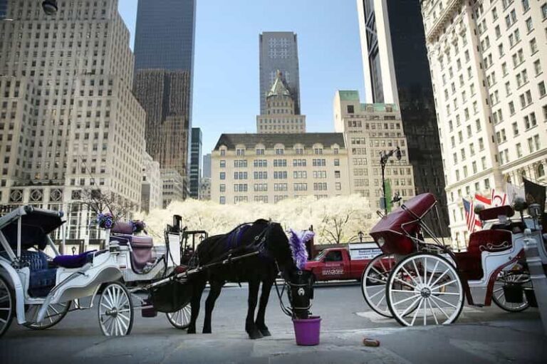 NYC: Central Park Christmas Lights Horse-Drawn Carriage Ride - FAQ