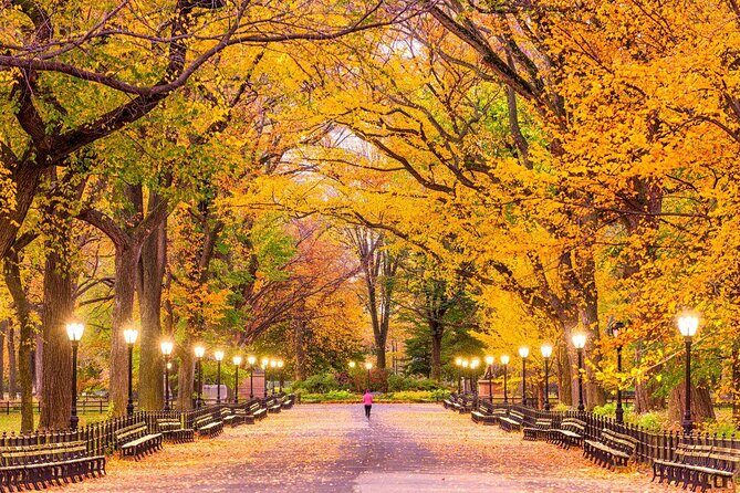 NYC Central Park guided Pedicab Tour - 2 hours - Who Should Consider This Tour?