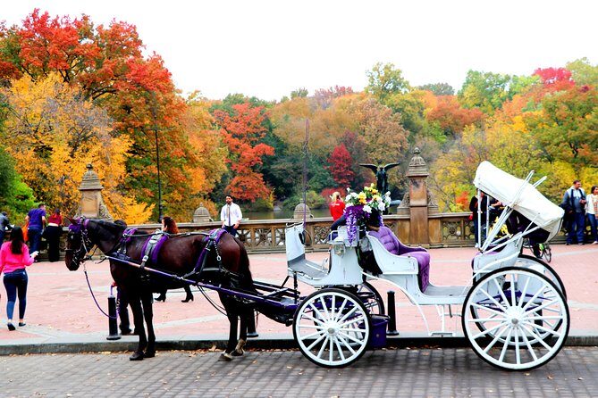 NYC Central Park Horse Carriage Ride (Up to 4 Adults) - Pricing and Value