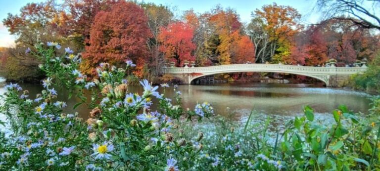 NYC: Central Park Secrets and Highlights Walking Tour - Who Would Love This Tour?