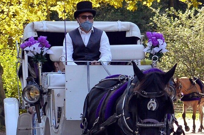 NYC Central Park VIP Horse and Carriage Ride - Final Thoughts