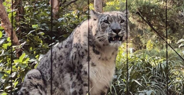 NYC: Central Park Zoo & Central Park Guided Walking Tour - Why This Tour Is Worth Considering