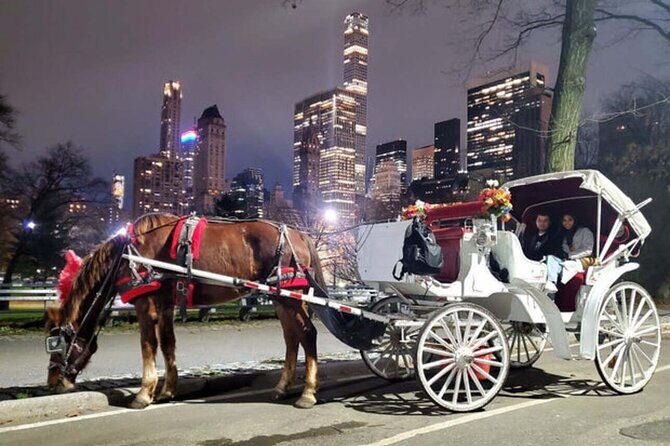 NYC Christmas Light and Rockefeller Center Tour - Who Should Consider This Tour?