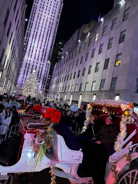 NYC: Christmas Lights Horse Carriage Ride - What to Expect During Your Ride