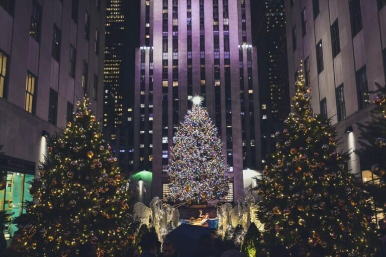 NYC: Dyker Heights and NYC Holiday Lights Luxury Bus Tour - An In-Depth Look at the Tour Experience