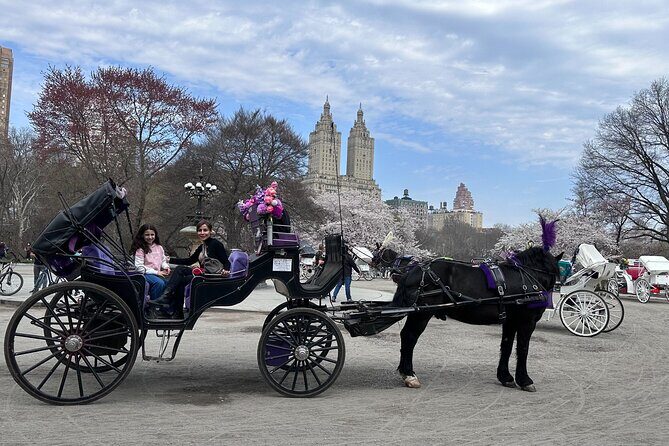 NYC Empire State Horses Carriage Ride in Central Park (45 Mins) - What to Expect During Your Ride