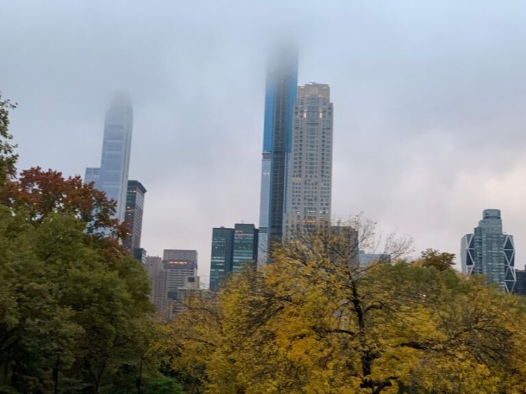 NYC: Empire State Horses Carriage Ride in Central Park - Who Would Enjoy This Tour?